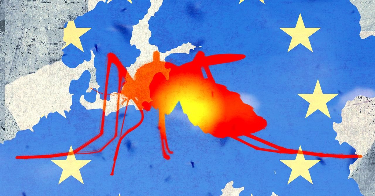 Tropical Diseases Like Dengue Fever and Chikungunya Are on the Rise in Europe
